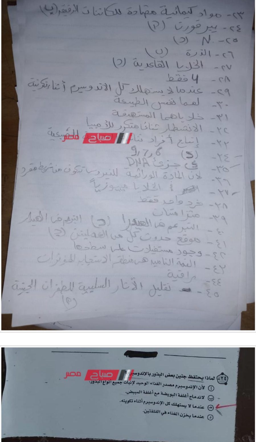 نموذج اجابة امتحان الاحياء للصف الثالث الثانوي 2023