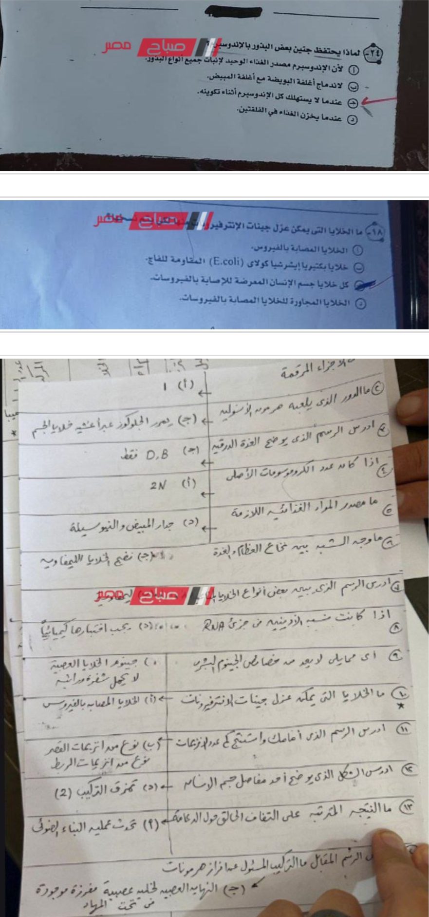 نموذج اجابة امتحان الاحياء للصف الثالث الثانوي 2023