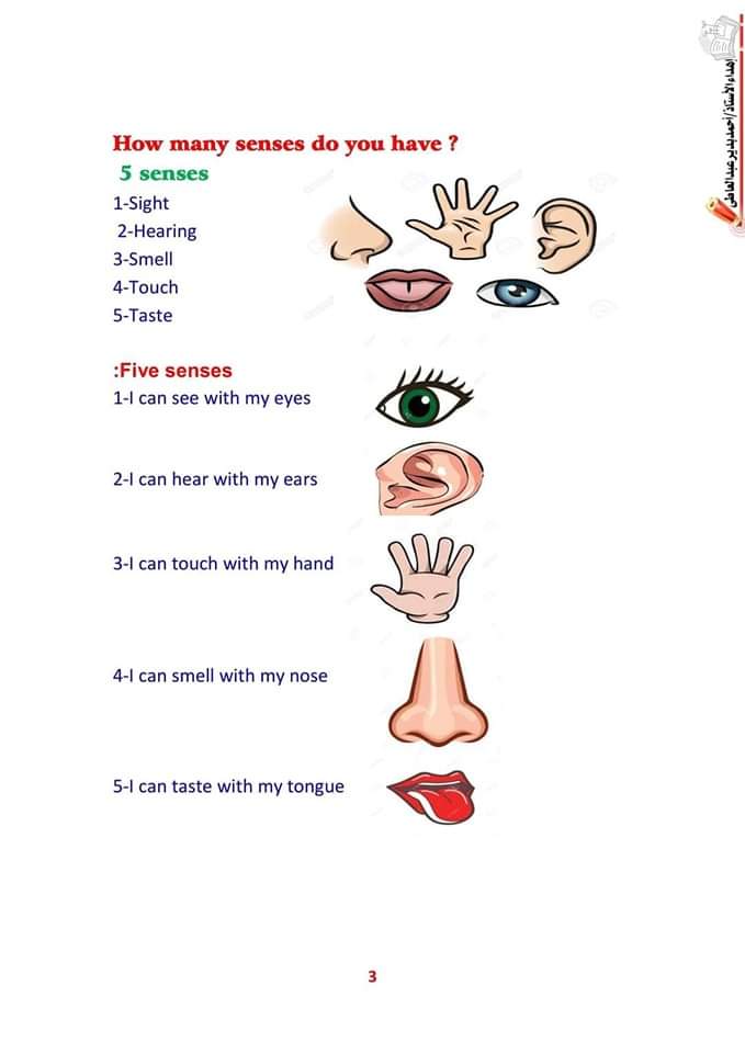 بوكليت ديسكفر الصف الاول الابتدائي الترم الاول - منصة كتاتيب مصر - بوكليت ديسكفر الصف الاول الابتدائي الترم الاول بوكليت ديسكفر الصف الاول الابتدائي الترم الاول