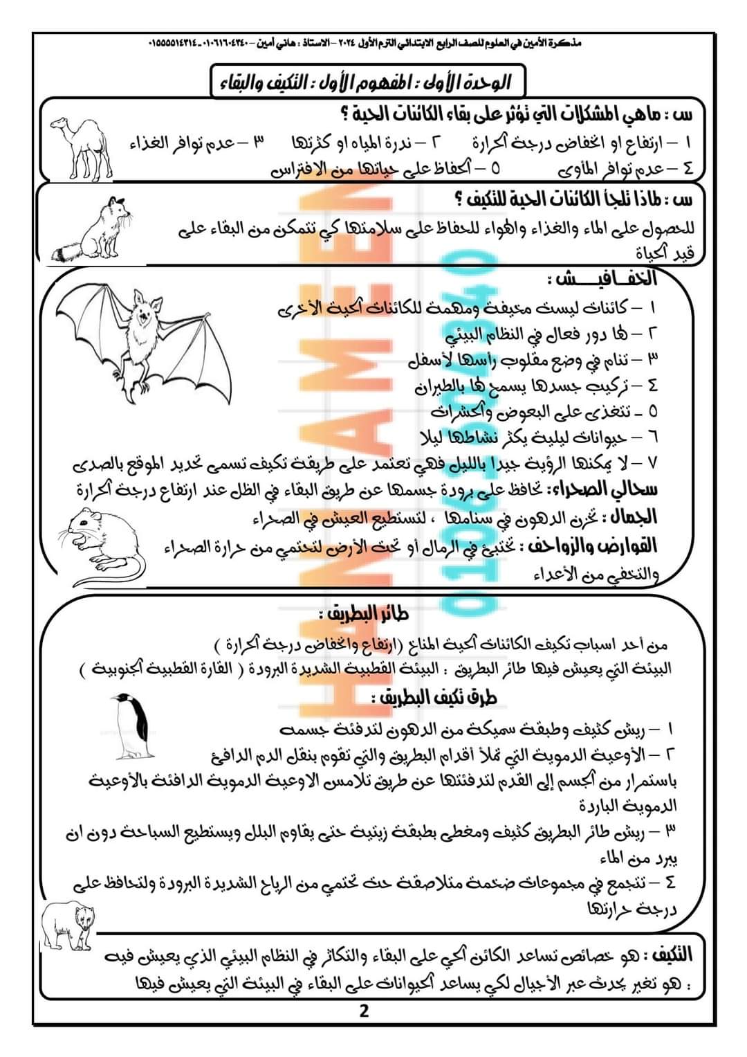 تحميل مذكرة الأمين في العلوم رابعة ابتدائي الترم الاول