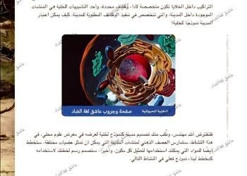 تحميل مشروع تخطيط مدينة كنموذج خليه علوم الصف السادس الابتدائى