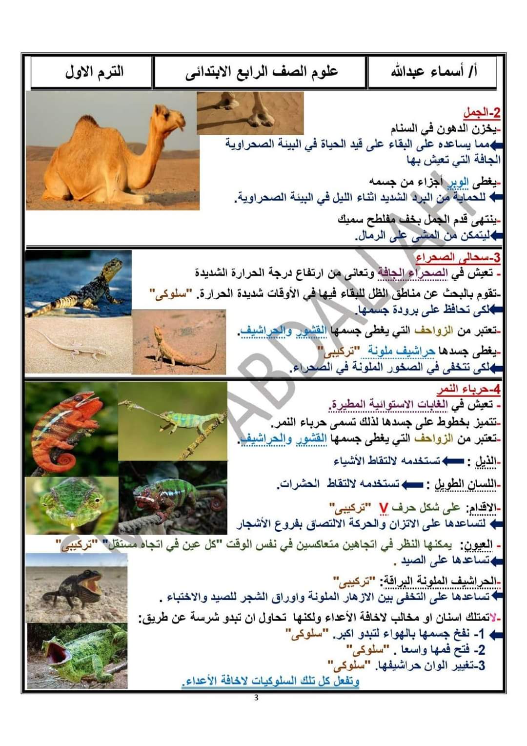 تحميل مذكرة العلوم رابعة ابتدائي المنهج المعدل الترم الاول 2024