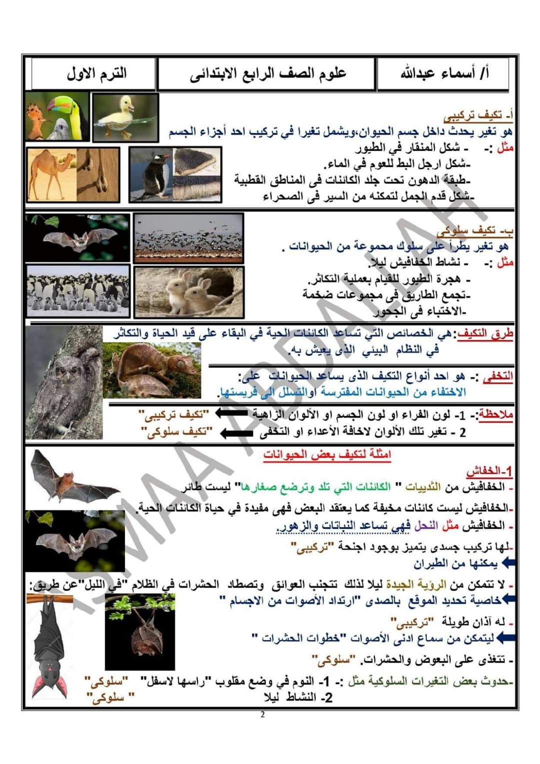 تحميل مذكرة العلوم رابعة ابتدائي المنهج المعدل الترم الاول 2024