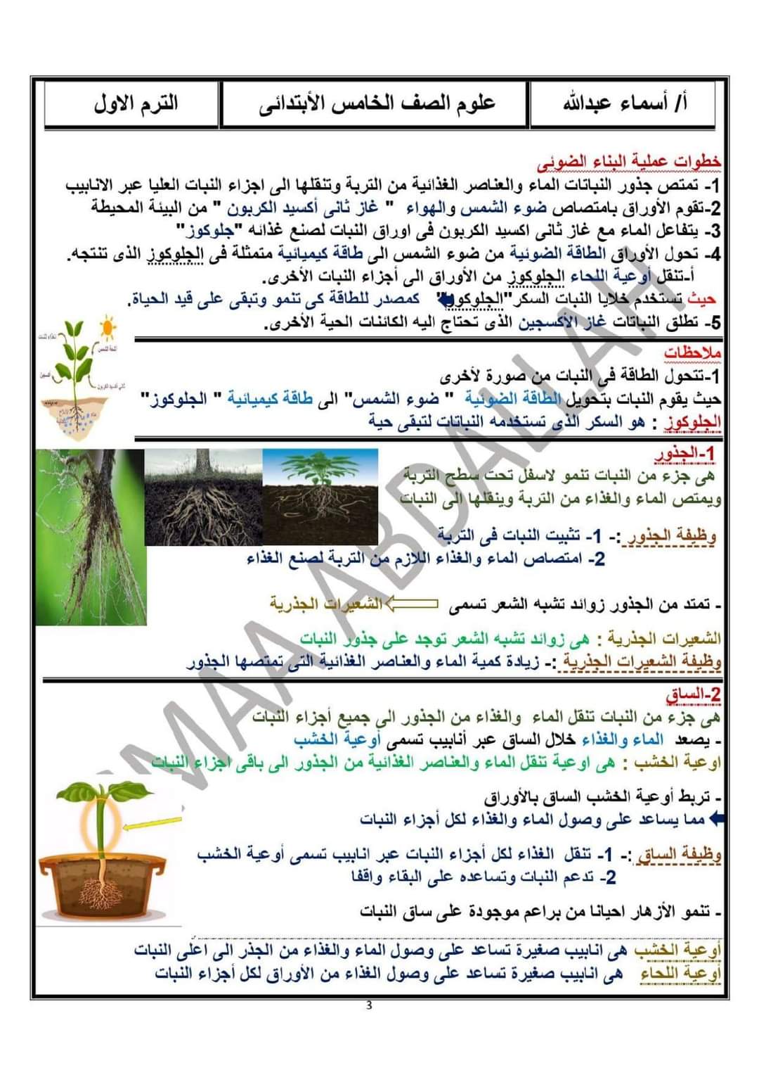 تحميل مذكرة العلوم خامسة ابتدائي المنهج المعدل الترم الاول 2024