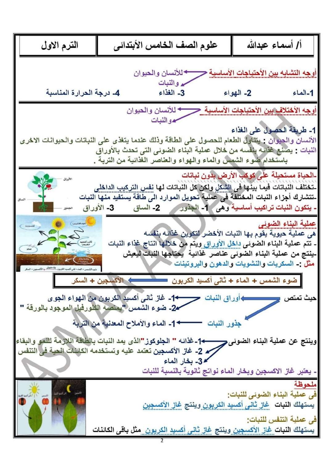 تحميل مذكرة العلوم خامسة ابتدائي المنهج المعدل الترم الاول 2024