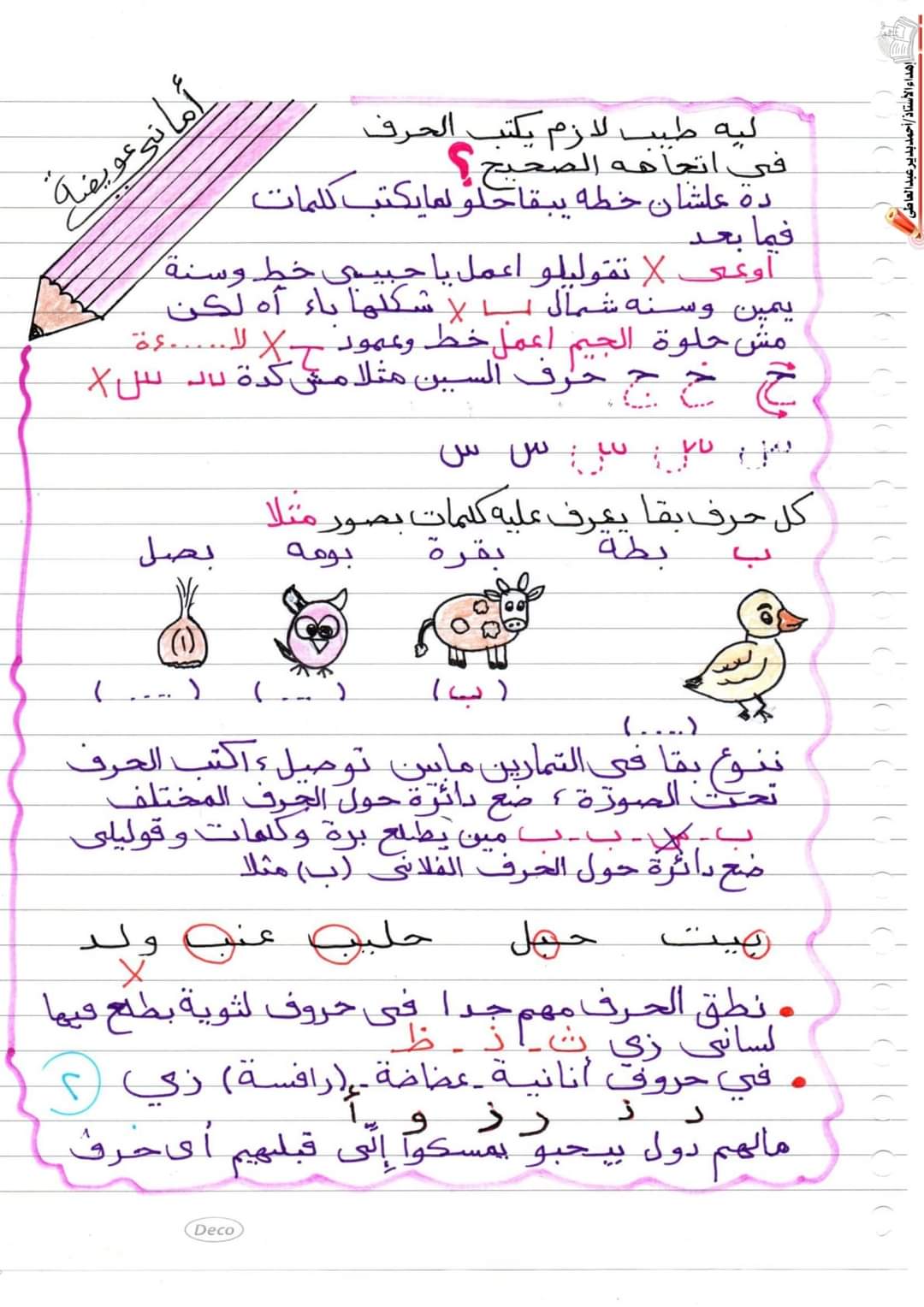 ملزمة تأسيس لغة عربية رائعة للصفوف الأولية لمس اماني عويضة