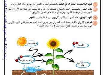 شرح المفهوم الأول في العلوم للصف السادس المنهج الجديد 2024