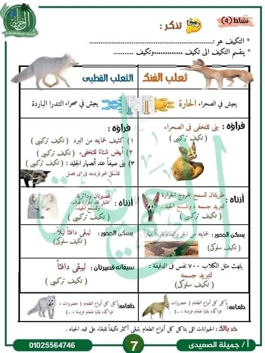 ملزمة الجميلة في العلوم للصف الرابع الابتدائي الترم الاول 2024