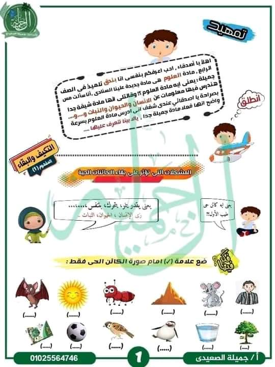 ملزمة الجميلة في العلوم للصف الرابع الابتدائي الترم الاول 2024