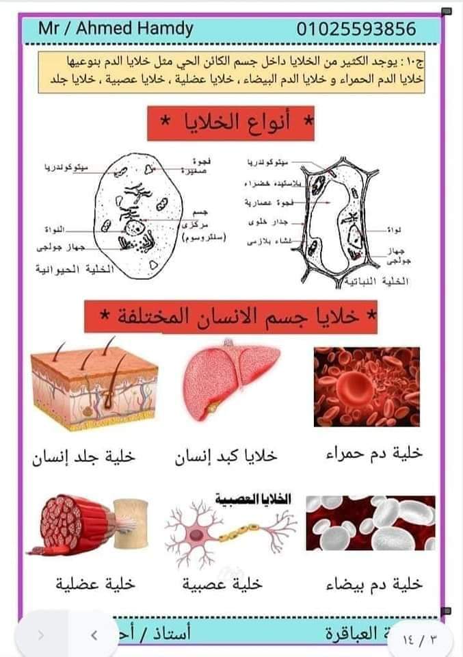 ملزمة علوم الصف السادس الإبتدائي المفهوم الأول منهج 2024  100 سؤال و جواب استاذ احمد حمدي