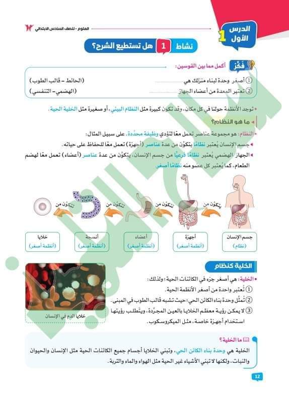 كتاب سلاح التلميذ في العلوم للصف السادس الابتدائي الترم الاول 2024