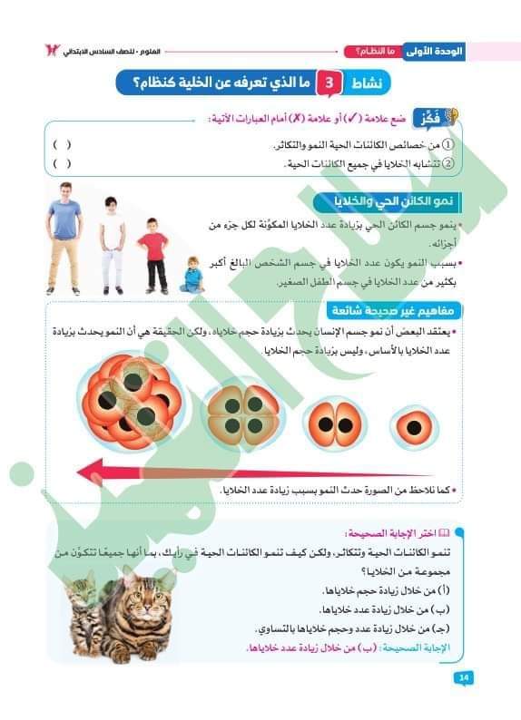 كتاب سلاح التلميذ في العلوم للصف السادس الابتدائي الترم الاول 2024