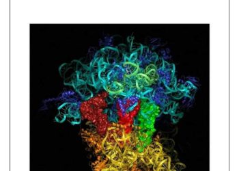 ملزمة شرح منهج الاحياء لغات اولى ثانوي نظام حديث 2024