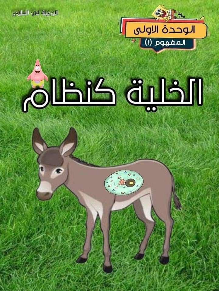 ملزمة شرح المفهوم الاول علوم للصف السادس المنهج الجديد لمس جميلة الصعيدي