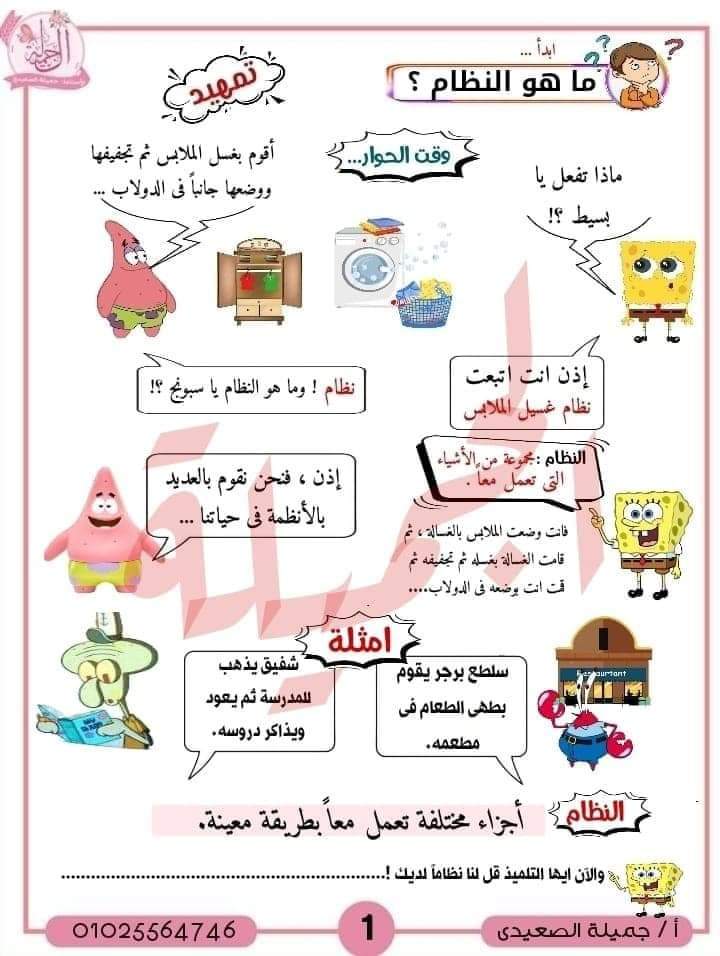 ملزمة شرح المفهوم الاول علوم للصف السادس المنهج الجديد لمس جميلة الصعيدي