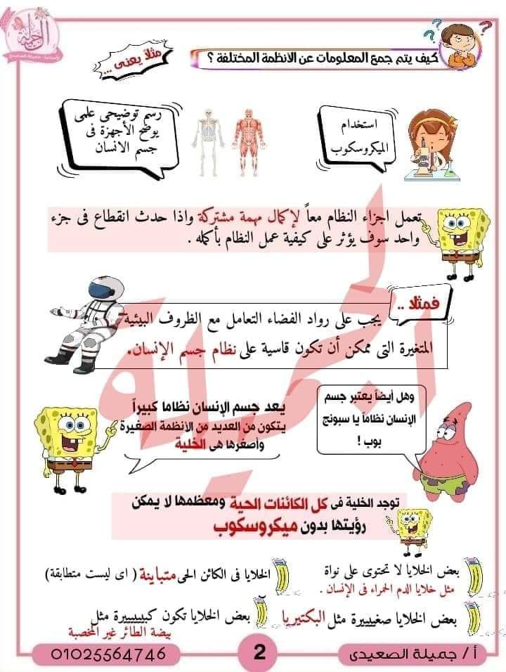 ملزمة شرح المفهوم الاول علوم للصف السادس المنهج الجديد لمس جميلة الصعيدي