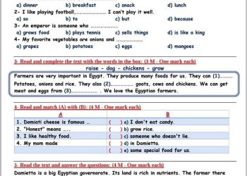 امتحانات كونكت على اول وحدتين للصف الرابع الابتدائي حسب مواصفات 2024
