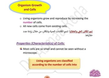 ملزمة شرح اول 4 دروس ساينس للصف السادس الابتدائي لغات الترم الاول 2024