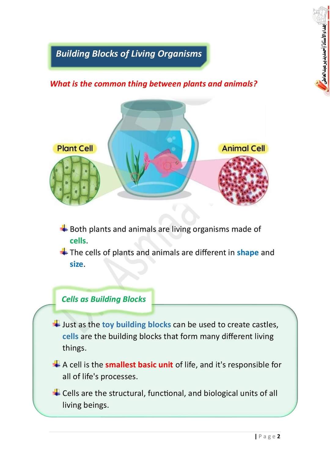 ملزمة ساينس مترجمة للصف السادس الابتدائي لغات نظام جديد ترم اول - منصة كتاتيب مصر - ملزمة ساينس مترجمة للصف السادس الابتدائي لغات نظام جديد ترم اول ملزمة ساينس مترجمة للصف السادس الابتدائي لغات نظام جديد ترم اول
