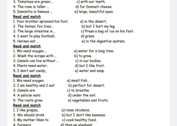 مراجعة اكتوبر 2023 كونكت للصفين الرابع والخامس الابتدائي