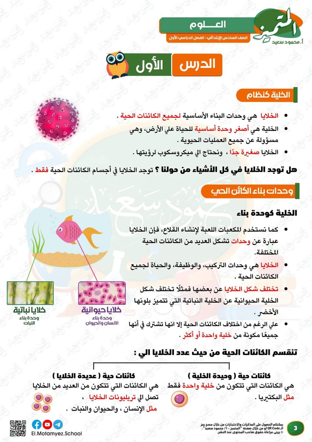 ملزمة المتميز في العلوم للصف السادس الابتدائي الترم الاول 2024