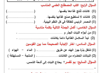 امتحانات متوقعة لشهر اكتوبر كل مواد رابعة ابتدائي