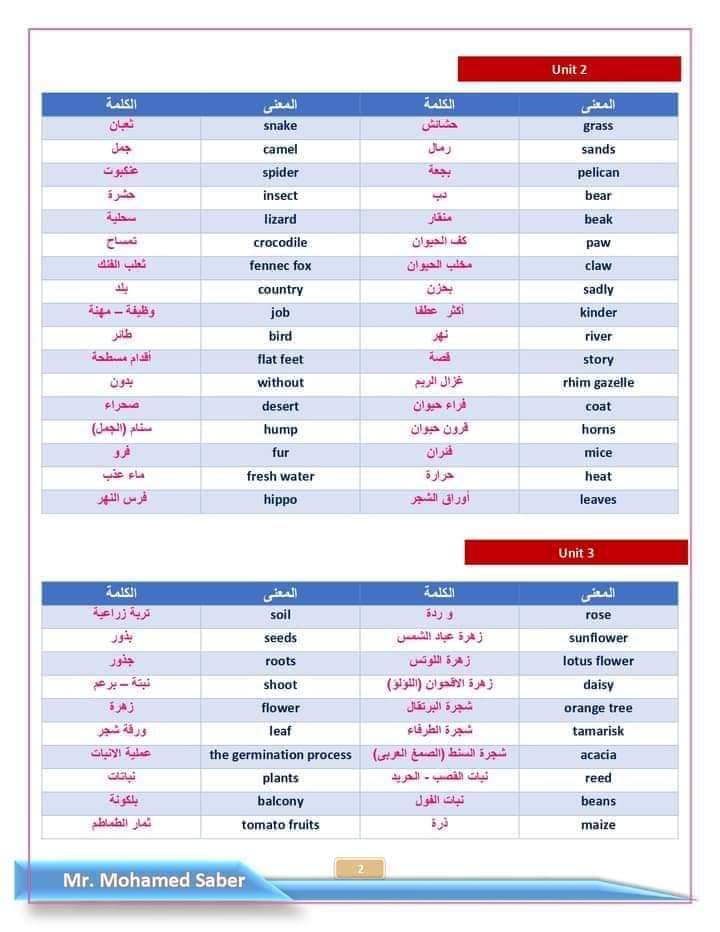 تجميع كلمات كونكت للصف الرابع الابتدائي نظام جديد