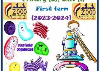 بوكلت مدارس الجيل ساينس science الصف السادس الترم الاول 2024