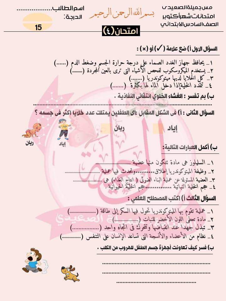 امتحانات علوم للصف السادس الابتدائي لمقرر اكتوبر حسب مواصفات الورقة الامتحانية امتحانات علوم للصف السادس الابتدائي لمقرر اكتوبر حسب مواصفات الورقة الامتحانية