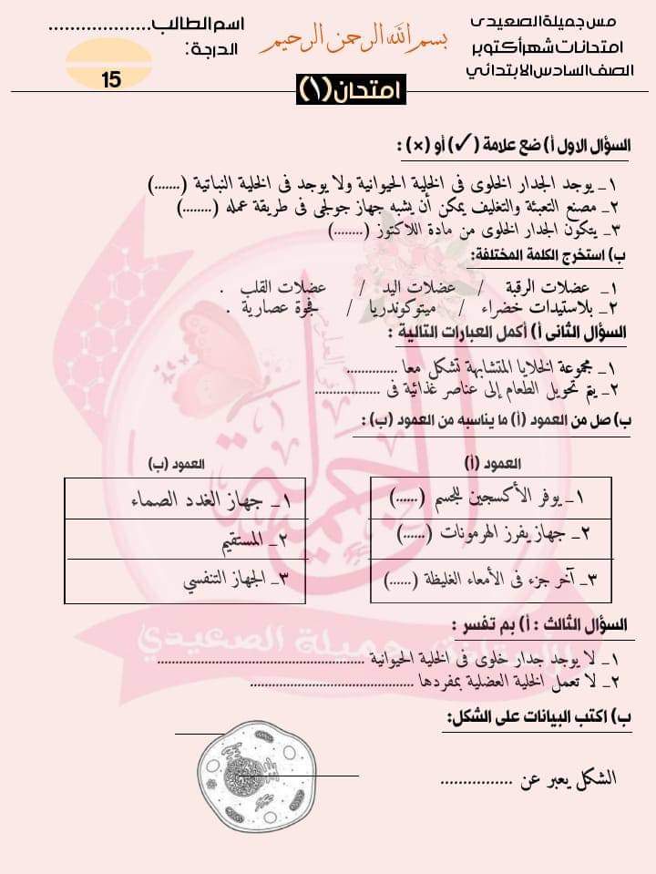 امتحانات علوم للصف السادس الابتدائي لمقرر اكتوبر حسب مواصفات الورقة الامتحانية امتحانات علوم للصف السادس الابتدائي لمقرر اكتوبر حسب مواصفات الورقة الامتحانية