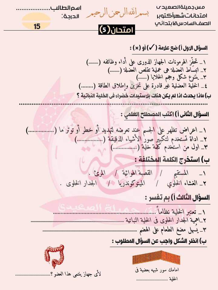 امتحانات علوم للصف السادس الابتدائي لمقرر اكتوبر حسب مواصفات الورقة الامتحانية امتحانات علوم للصف السادس الابتدائي لمقرر اكتوبر حسب مواصفات الورقة الامتحانية