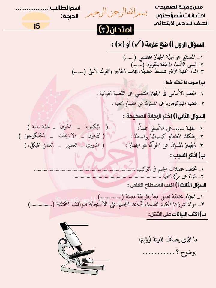 امتحانات علوم للصف السادس الابتدائي لمقرر اكتوبر حسب مواصفات الورقة الامتحانية امتحانات علوم للصف السادس الابتدائي لمقرر اكتوبر حسب مواصفات الورقة الامتحانية