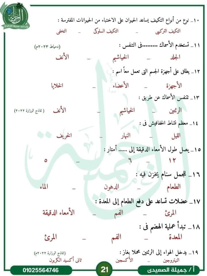 مراجعة اكتوبر علوم الصف الرابع الابتدائي لمس جميلة الصعيدي مراجعة اكتوبر علوم الصف الرابع الابتدائي لمس جميلة الصعيدي