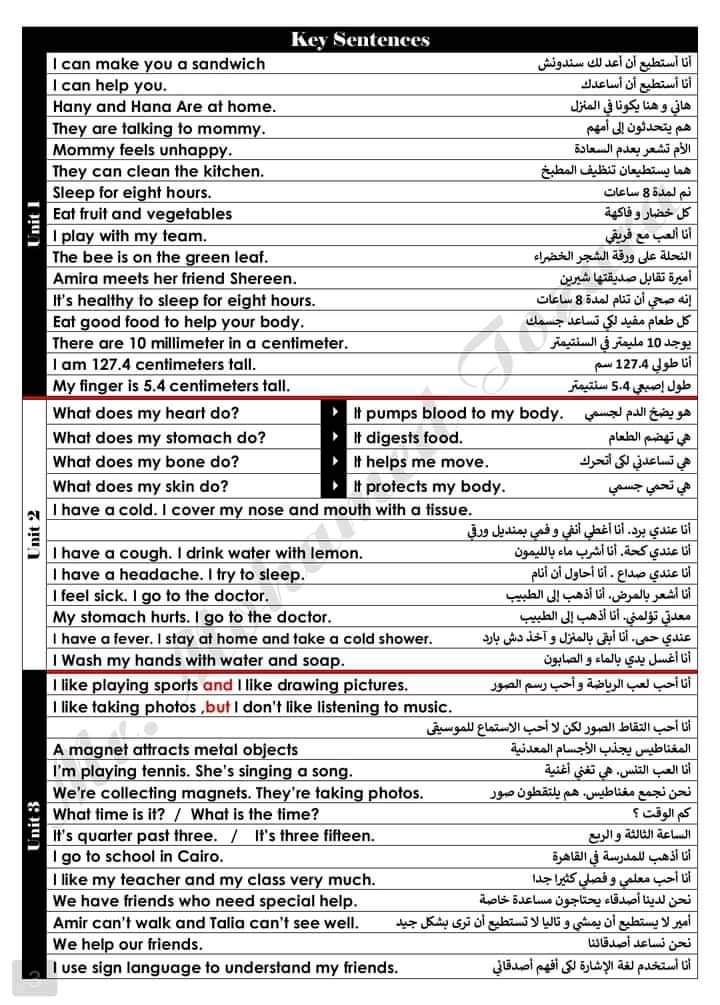 ملخص اللغة الانجليزية للصف الثالث الابتدائي الترم الاول ملخص اللغة الانجليزية للصف الثالث الابتدائي الترم الاول