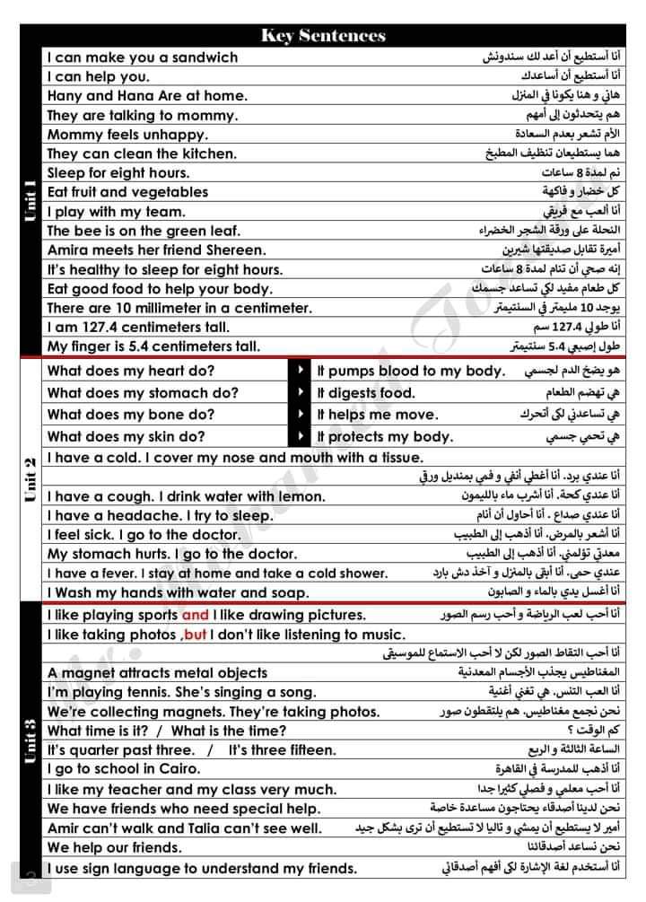 ملخص اللغة الانجليزية للصف الثالث الابتدائي الترم الاول