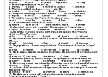 مراجعة نهائية لغة انجليزية للصف الأول الثانوي الترم الاول