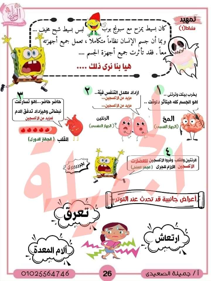 ملزمة شرح المفهوم الثاني علوم الصف السادس الابتدائى الترم الاول لمس جميلة الصعيدي ملزمة شرح المفهوم الثاني علوم الصف السادس الابتدائى الترم الاول لمس جميلة الصعيدي