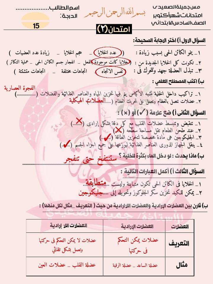 امتحانات علوم للصف السادس الابتدائي لمقرر اكتوبر حسب مواصفات الورقة الامتحانية امتحانات علوم للصف السادس الابتدائي لمقرر اكتوبر حسب مواصفات الورقة الامتحانية - تحميل امتحانات اكتوبر