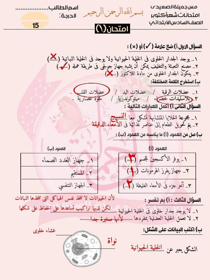 امتحانات علوم للصف السادس الابتدائي لمقرر اكتوبر حسب مواصفات الورقة الامتحانية امتحانات علوم للصف السادس الابتدائي لمقرر اكتوبر حسب مواصفات الورقة الامتحانية - تحميل امتحانات اكتوبر