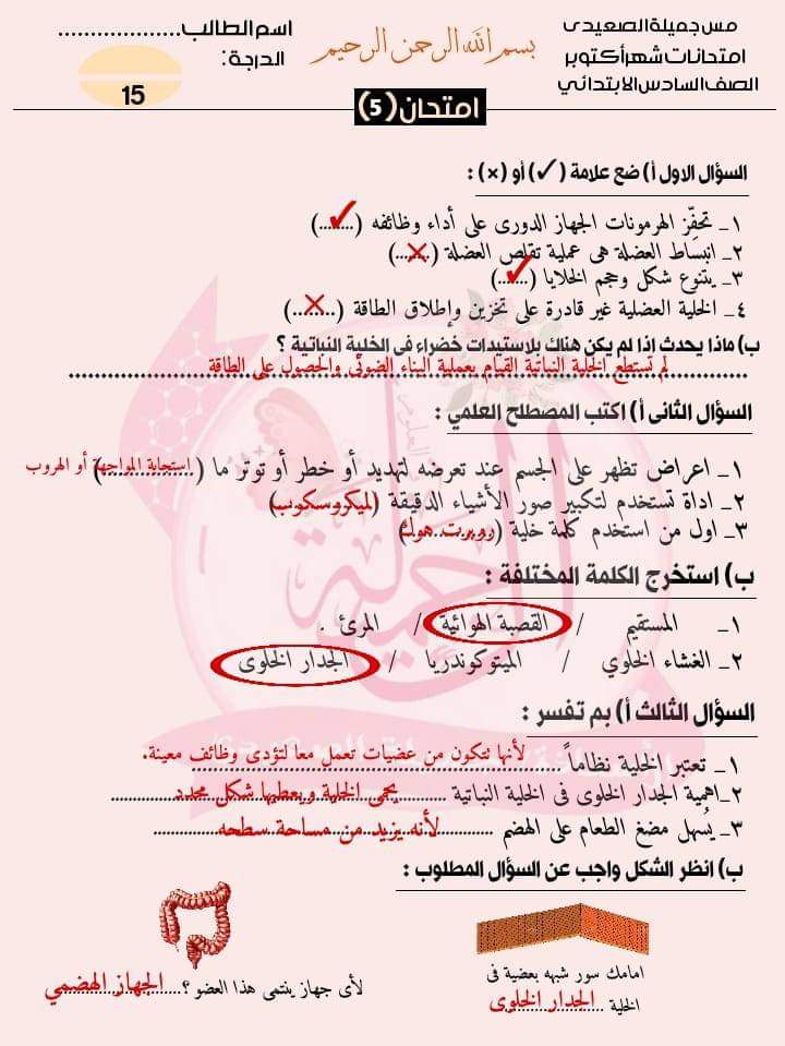 امتحانات علوم للصف السادس الابتدائي لمقرر اكتوبر حسب مواصفات الورقة الامتحانية امتحانات علوم للصف السادس الابتدائي لمقرر اكتوبر حسب مواصفات الورقة الامتحانية - تحميل امتحانات اكتوبر