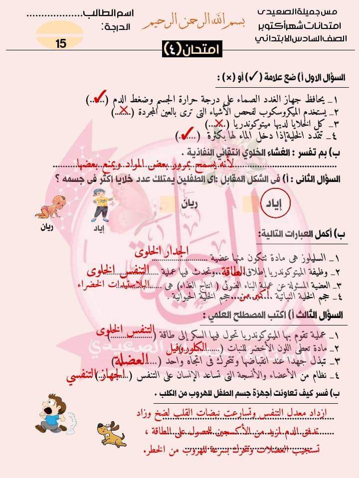 امتحانات علوم للصف السادس الابتدائي لمقرر اكتوبر حسب مواصفات الورقة الامتحانية امتحانات علوم للصف السادس الابتدائي لمقرر اكتوبر حسب مواصفات الورقة الامتحانية - تحميل امتحانات اكتوبر