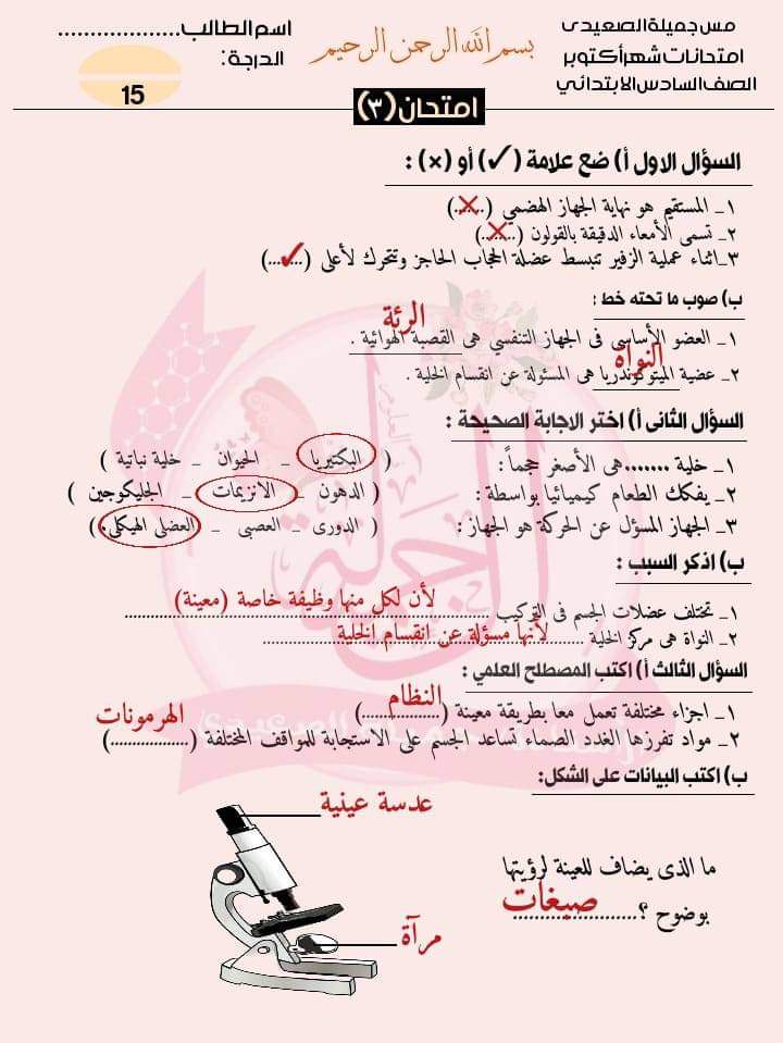 امتحانات علوم للصف السادس الابتدائي لمقرر اكتوبر حسب مواصفات الورقة الامتحانية امتحانات علوم للصف السادس الابتدائي لمقرر اكتوبر حسب مواصفات الورقة الامتحانية - تحميل امتحانات اكتوبر