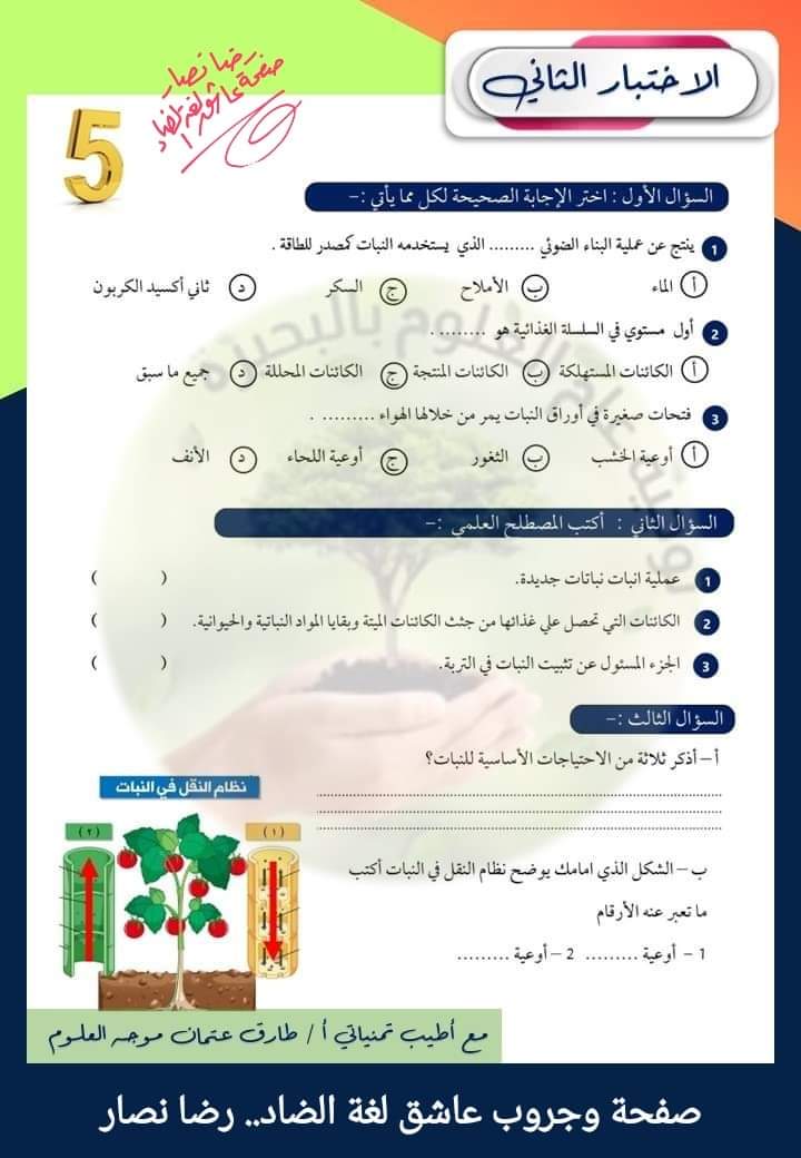 مراجعة مقرر اكتوبر علوم للصفوف الرابع والخامس والسادس الابتدائي من مكتب توجيه البحيرة