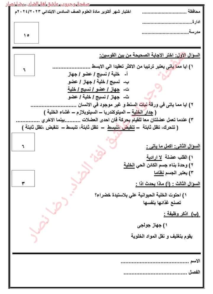 تحميل امتحانات شهر اكتوبر الصف السادس الابتدائي