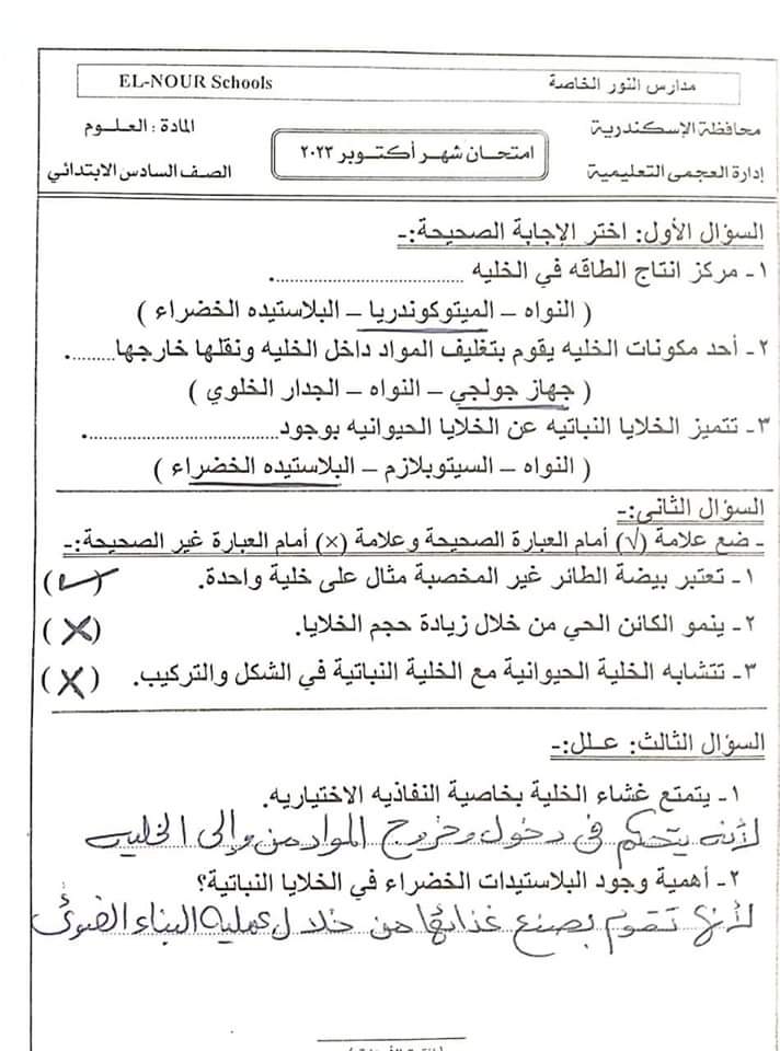 تحميل امتحانات شهر اكتوبر الصف السادس الابتدائي تحميل امتحانات شهر اكتوبر الصف السادس الابتدائي