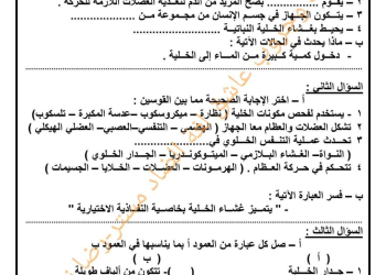 تحميل امتحانات شهر اكتوبر الصف السادس الابتدائي