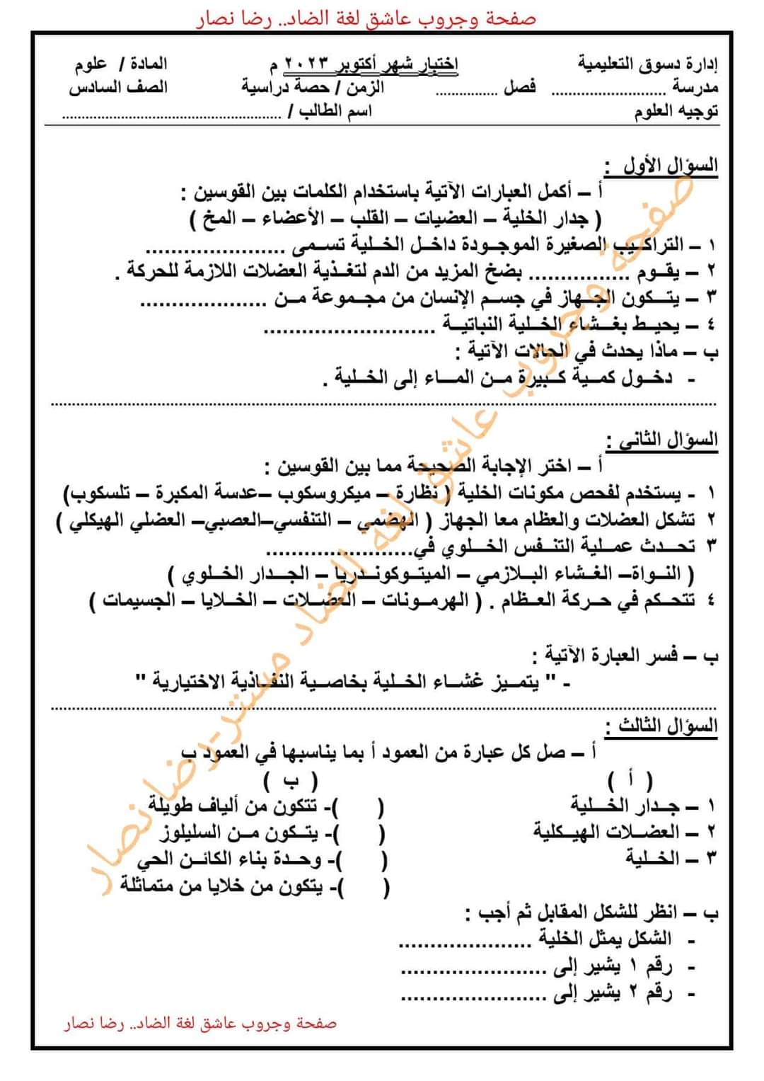 تحميل امتحانات شهر اكتوبر الصف السادس الابتدائي