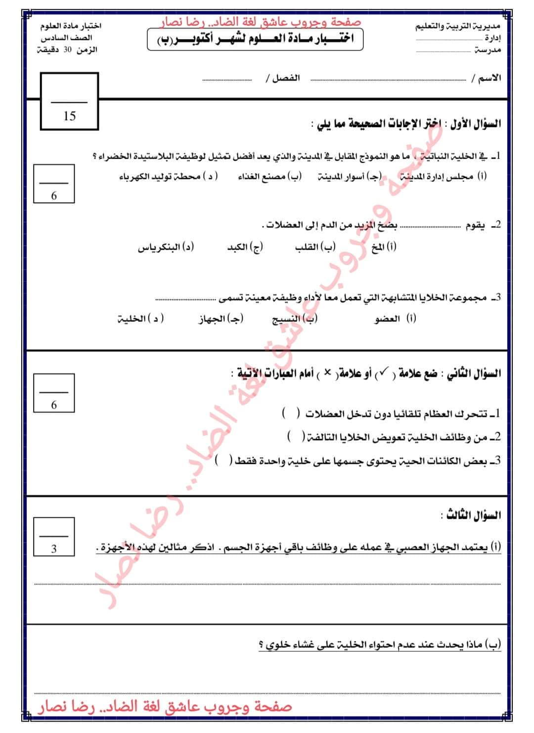 تحميل امتحانات شهر اكتوبر الصف السادس الابتدائي تحميل امتحانات شهر اكتوبر الصف السادس الابتدائي