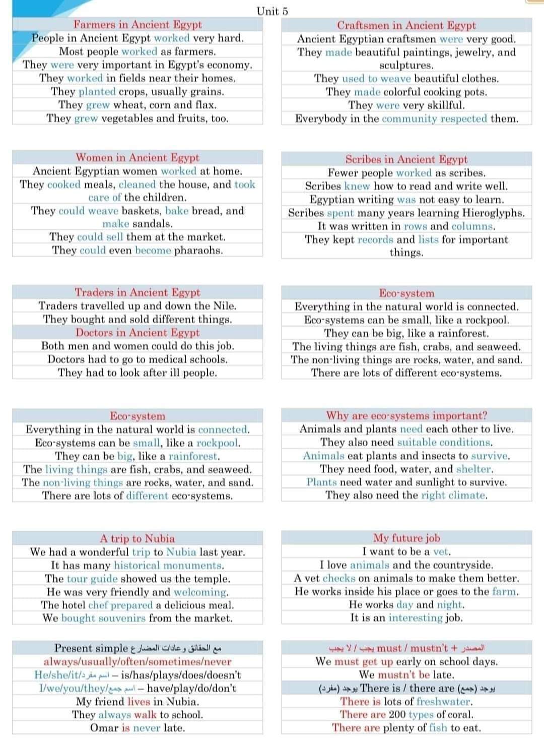 جميع براجرافات اللغة الانجليزية الصف الخامس الابتدائي ترم اول في صفحة واحدة جميع براجرافات اللغة الانجليزية الصف الخامس الابتدائي ترم اول في صفحة واحدة