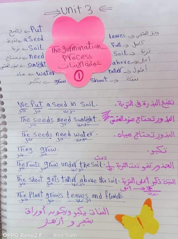 نواتج تعلم الوحدة الثالثة لغة انجليزية للصف الثاني الرابع والخامس الابتدائي الترم الاول نواتج تعلم الوحدة الثالثة لغة انجليزية للصف الثاني الرابع والخامس الابتدائي الترم الاول